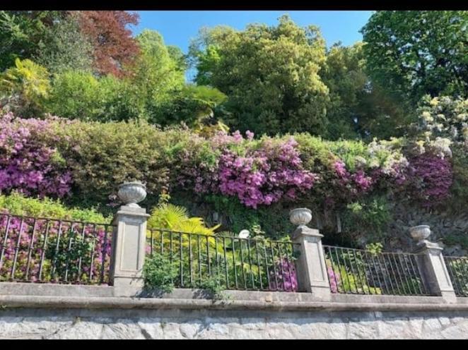 Casa Ilda Villa Orta San Giulio Bagian luar foto